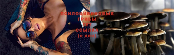 ALPHA PVP Волосово