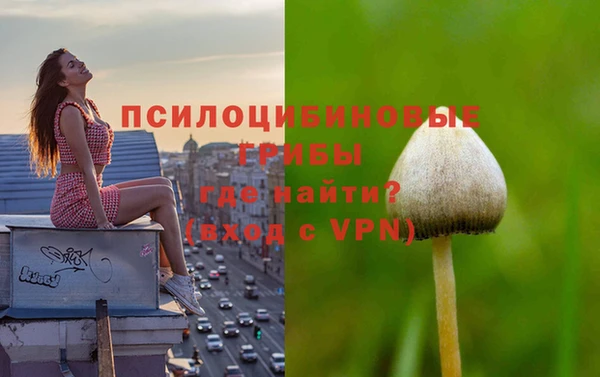 гидра Михайлов